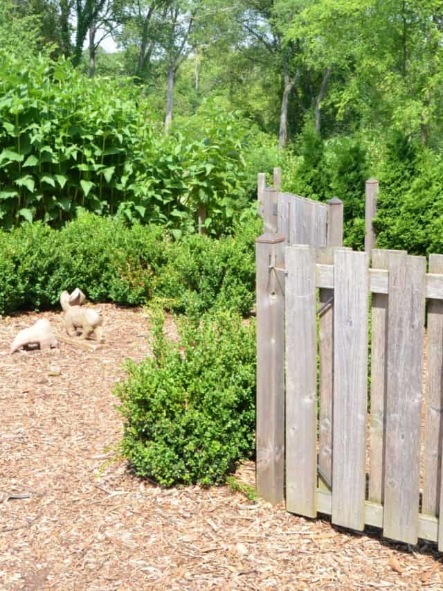 Michigan Children’s Gardens Story Follow The Piper