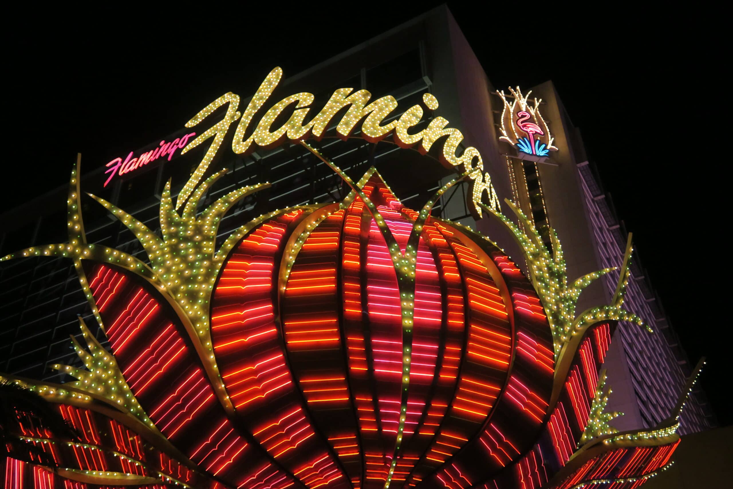 Light Up Your Life in Vegas Story - Follow The Piper