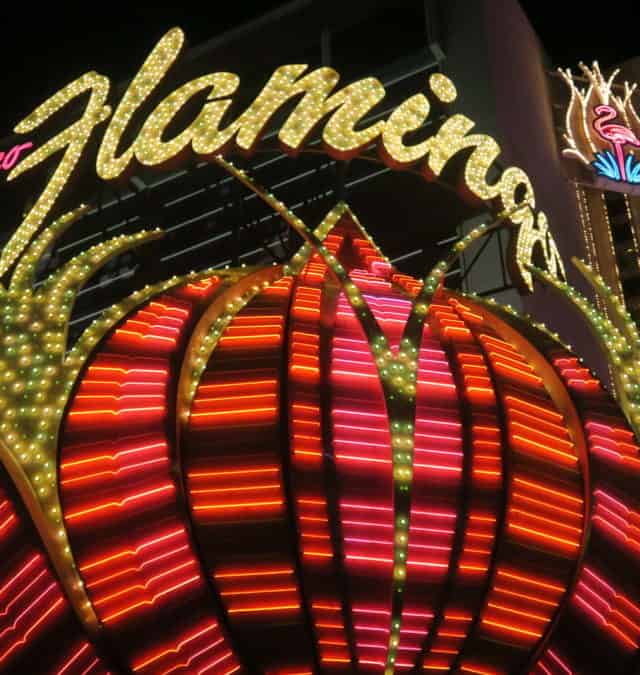 Live Lightly in Las Vegas Story