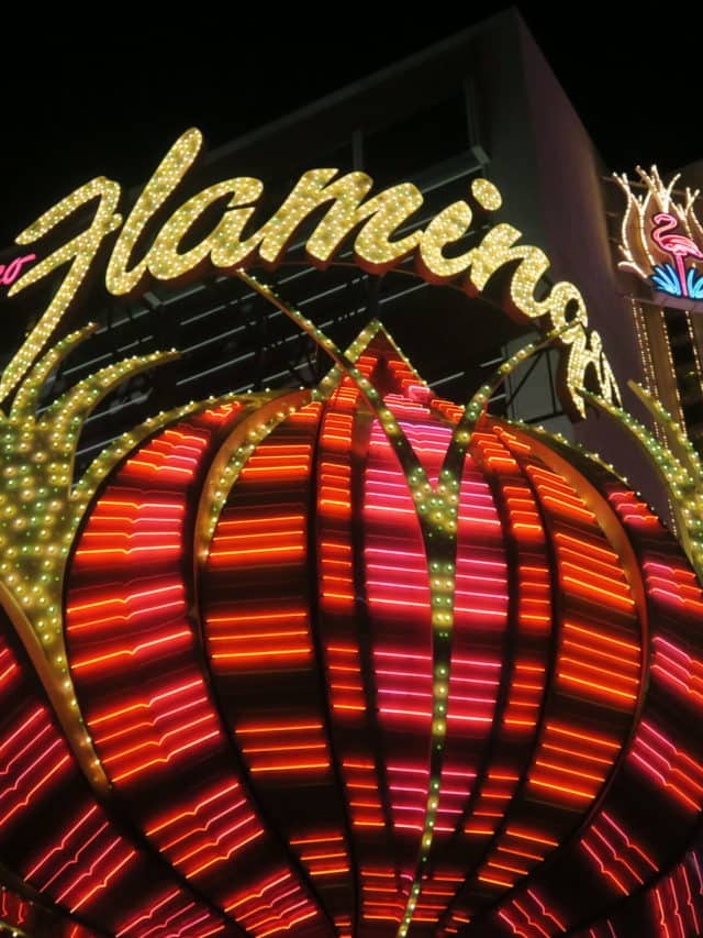 Live Lightly in Las Vegas Story