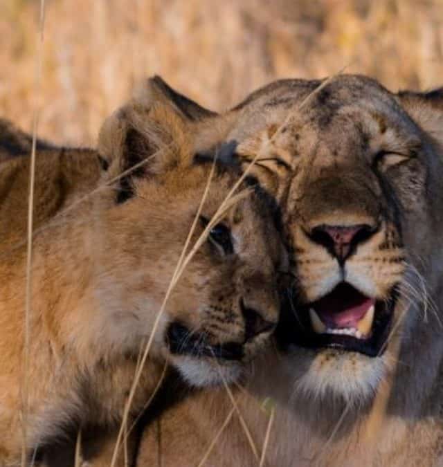 Ways to Pack More Relaxing Travel into Your Over-Scheduled Life Story