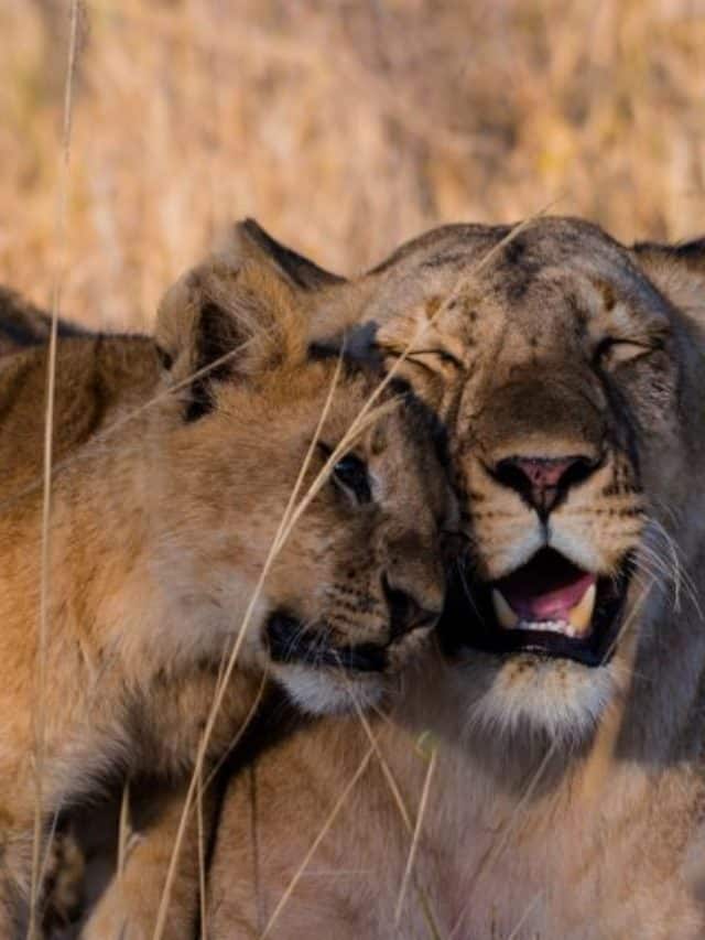 Ways to Pack More Relaxing Travel into Your Over-Scheduled Life Story