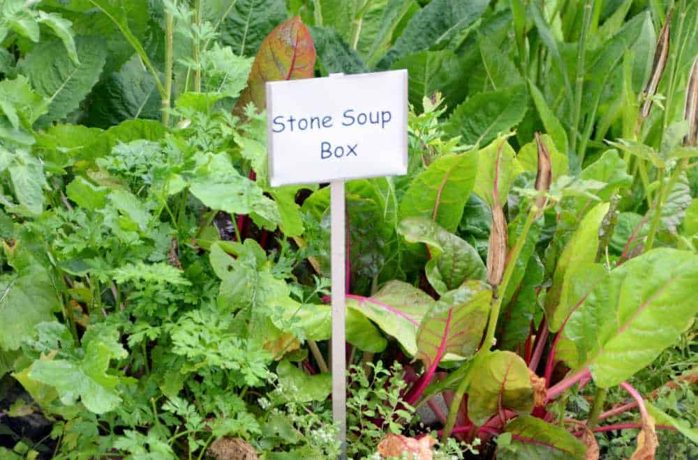 Stone Soup Box in Summer