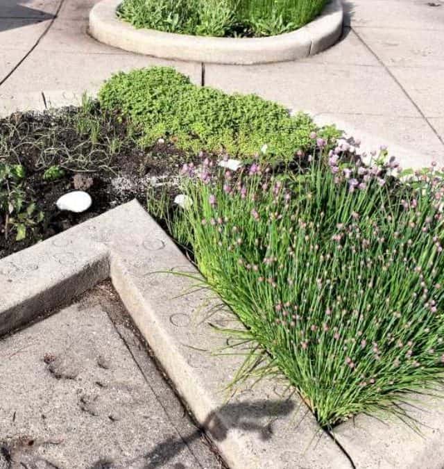 Explore Michigan 4-H Children’s Garden in East Lansing Story