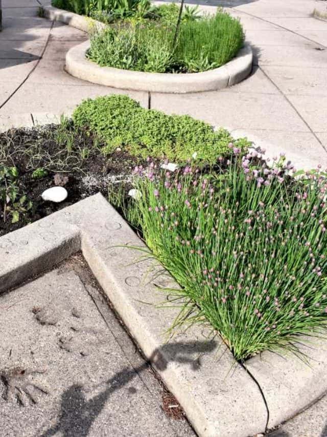 Explore Michigan 4-H Children’s Garden in East Lansing Story