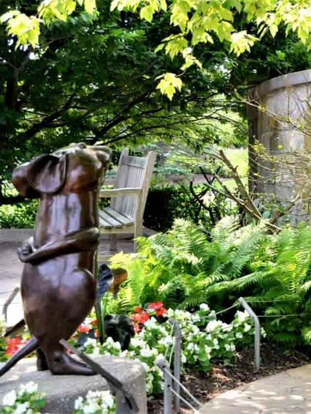 Four Michigan Children’s Gardens: An Outdoor Learning Story