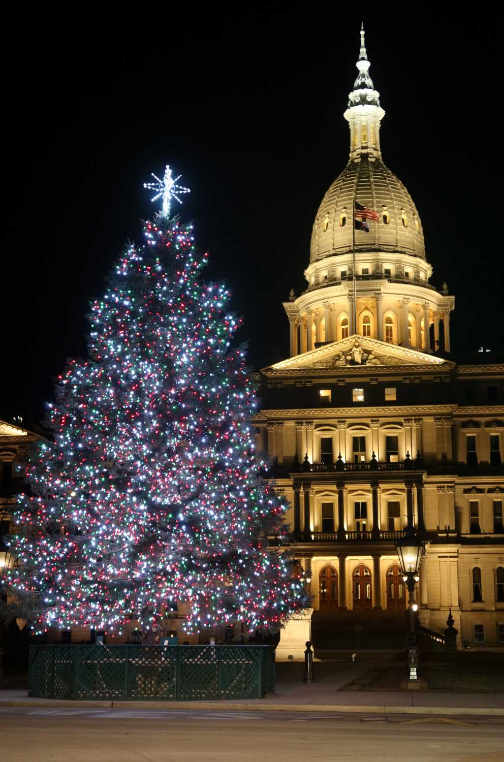 Michigan's State Capitol Building with the Lighted Christmas Tree