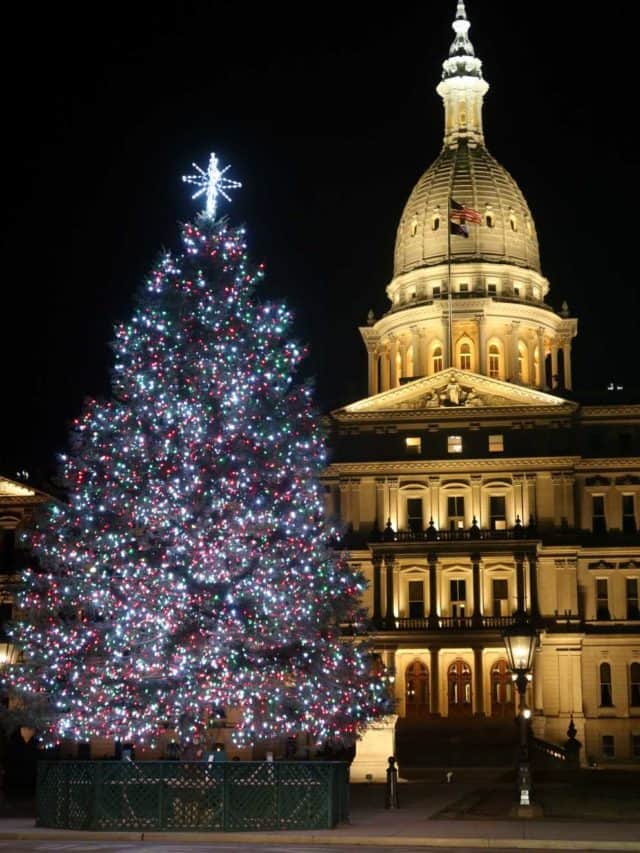 Facts About Lansing, Michigan Story