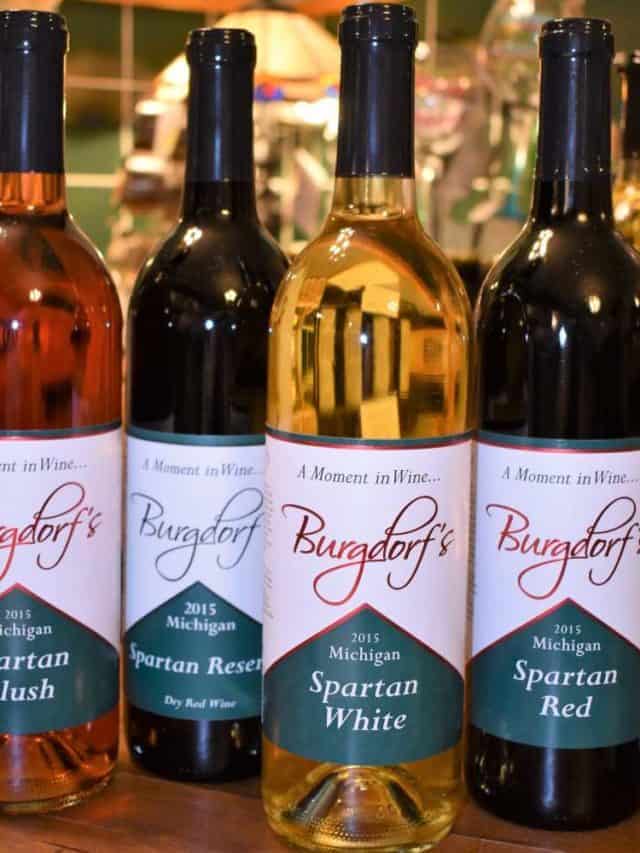 Award-Winning Wine from a Garage: Burgdorf’s Winery Story