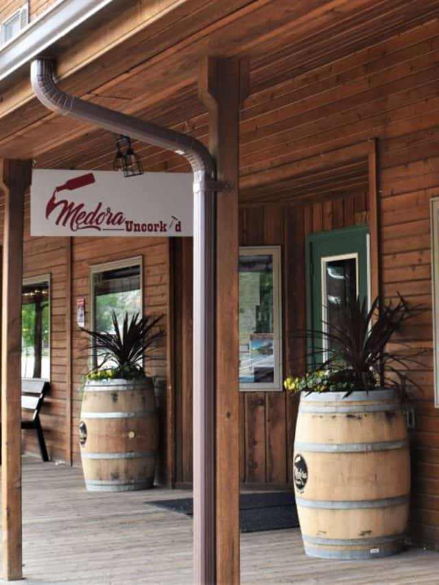 The Best Trip to Medora, North Dakota Story