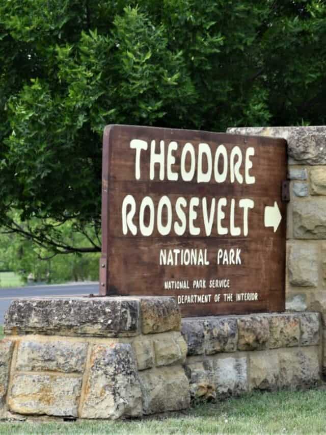 Medora, North Dakota: A Weekend Trip Story