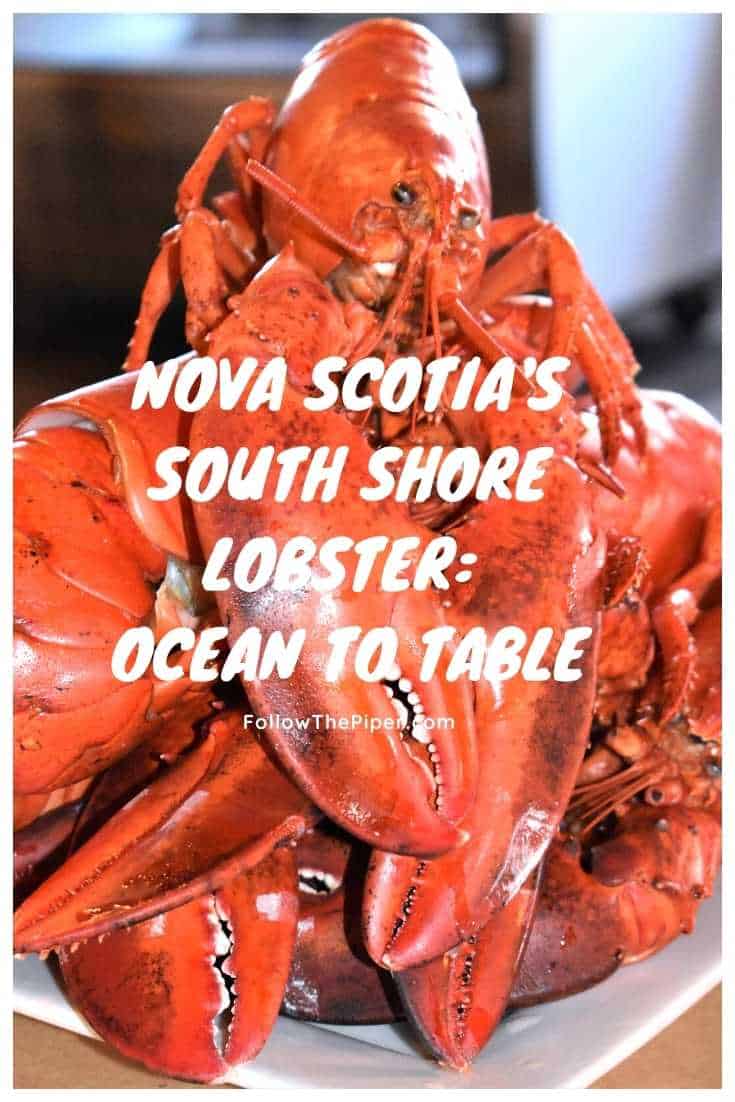 Cooked Nova Scotia Lobster