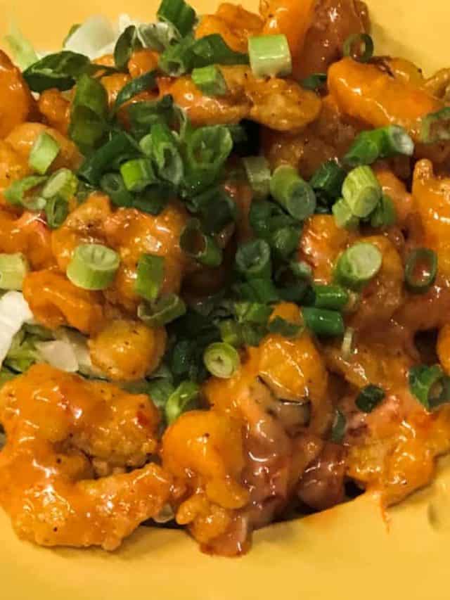 A to Z Gourmand’s Guide to Gulf Shores Story