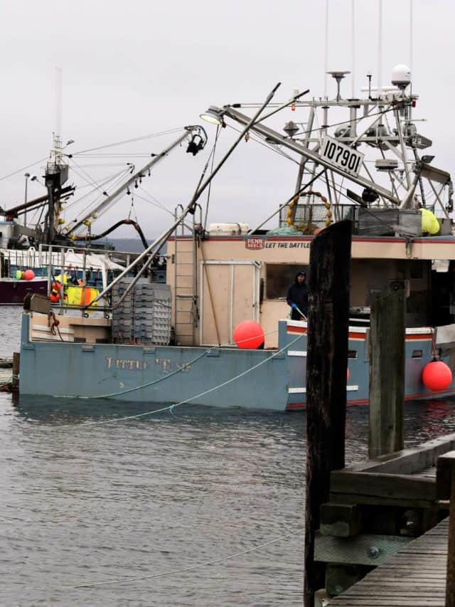 Ocean to Table Lobster from the South Shore of Nova Scotia Story