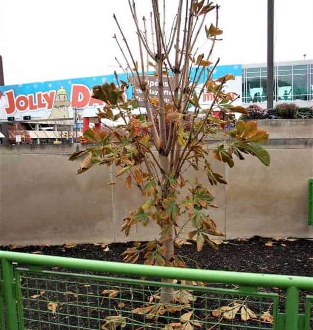 Interesting Facts About The Children’s Museum Of Indianapolis Story