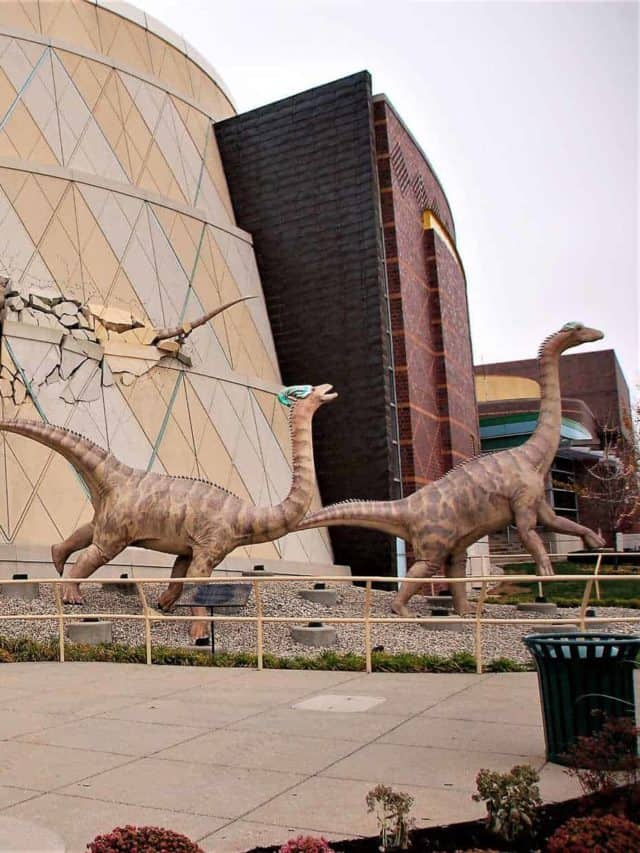 Fun Facts About The Children’s Museum in Indianapolis, Indiana Story