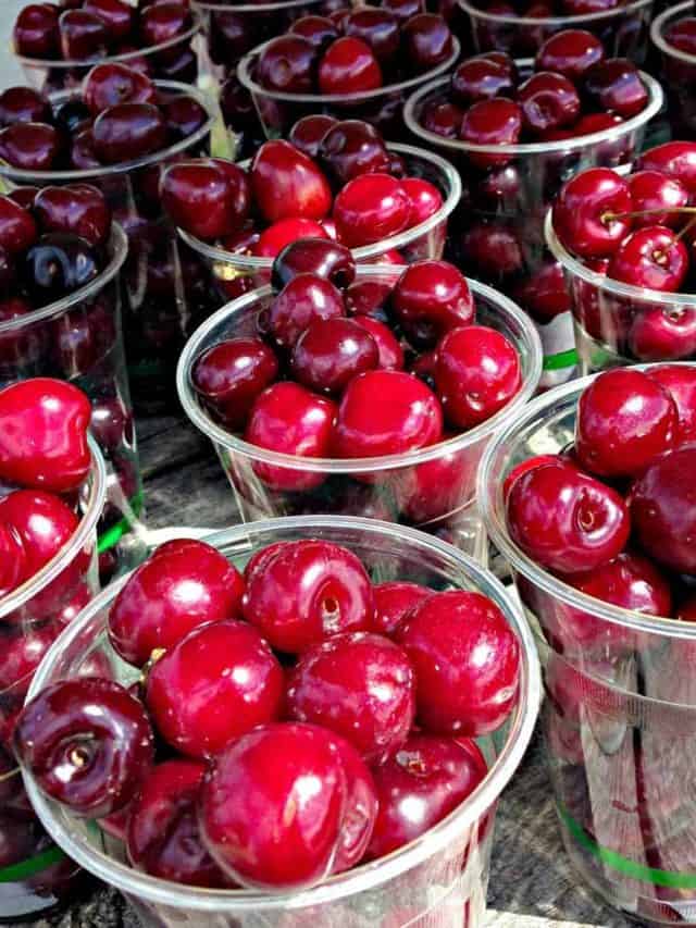 Traverse City, Michigan: Cherry Capital of the World Story