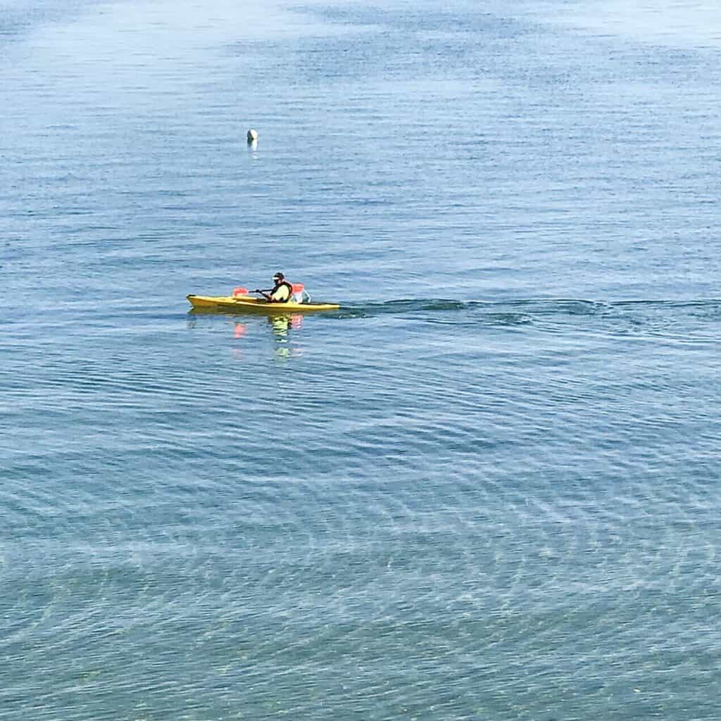 Kayaking near the Beach at the Cherry Tree Inn