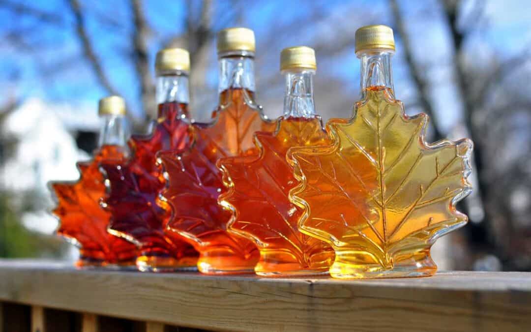 2024 Maple Syrup Festivals and Events in Michigan