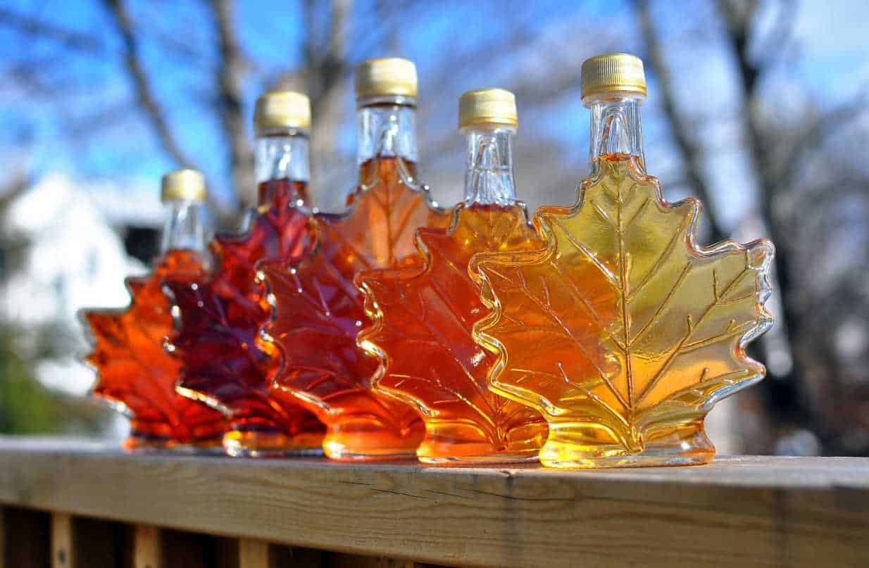 Colorful bottles of Michigan Maple Syrup