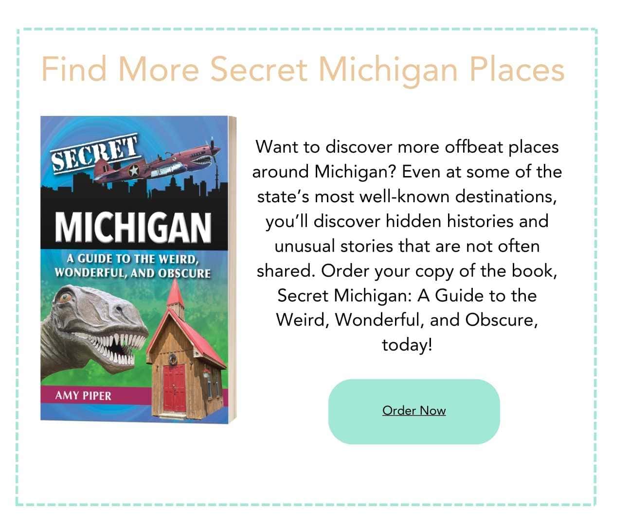 Secret Michigan Book Coupon