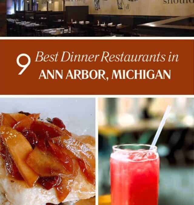 9 Best Dinner Restaurants in Ann Arbor, Michigan Story
