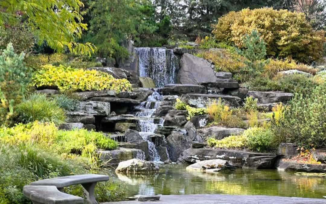 Frederik Meijer Gardens & Sculpture Park through the Seasons