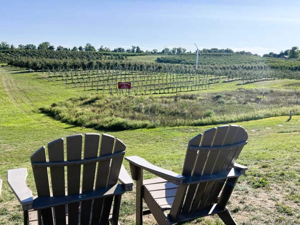 Vineyards at Crane's in Fennville