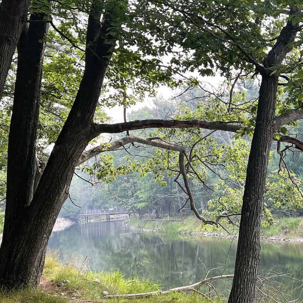 Fishing Off the Damn