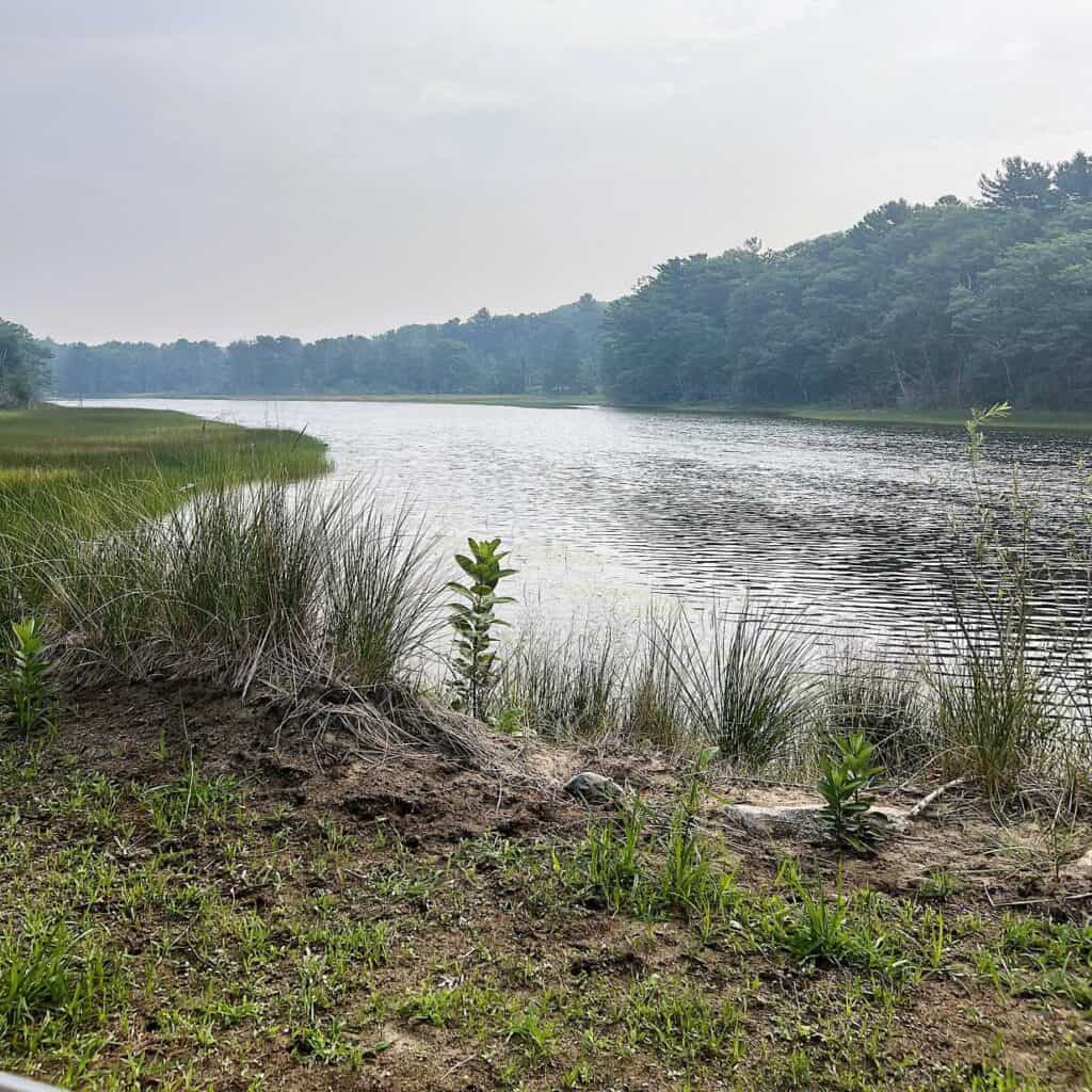 Ludington State Park