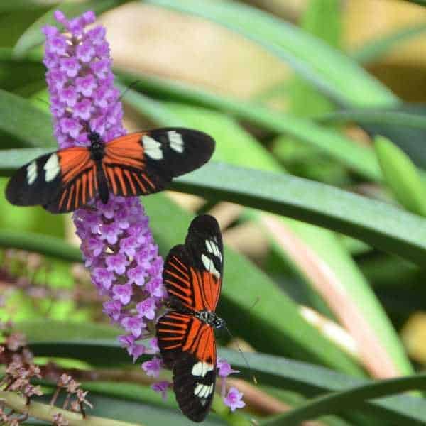 Spring in Grand Rapids