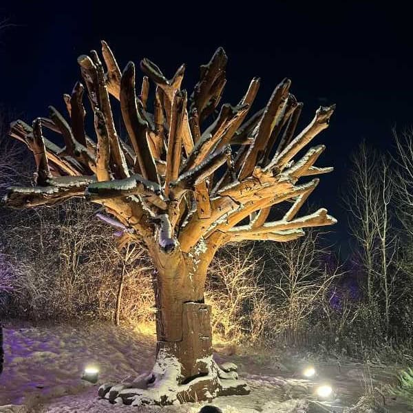 Winter in Grand Rapids, Michigan