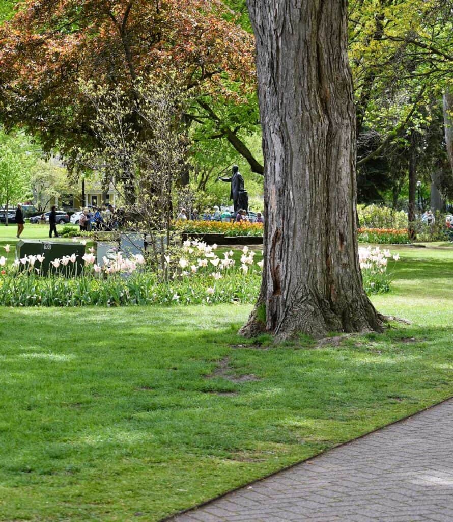 Centennial Park