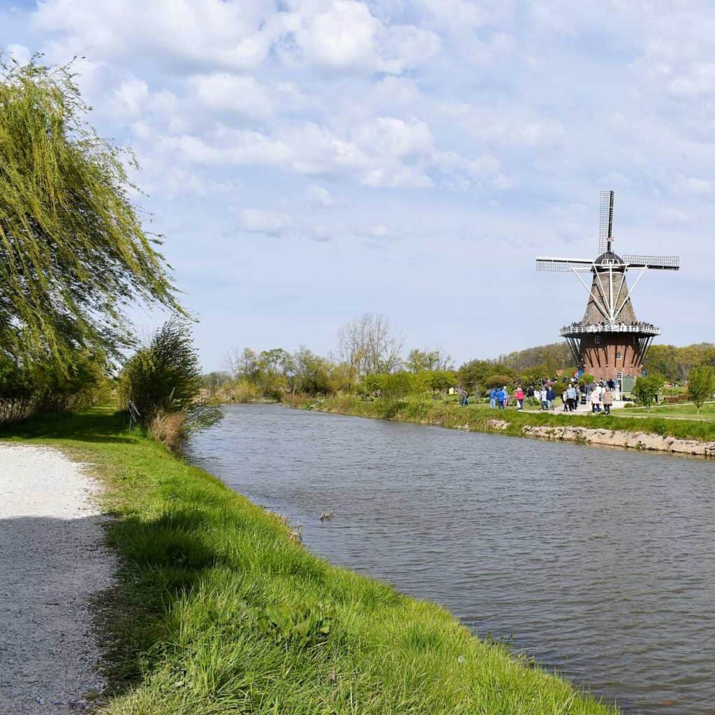 De Zwann from Across the Canal