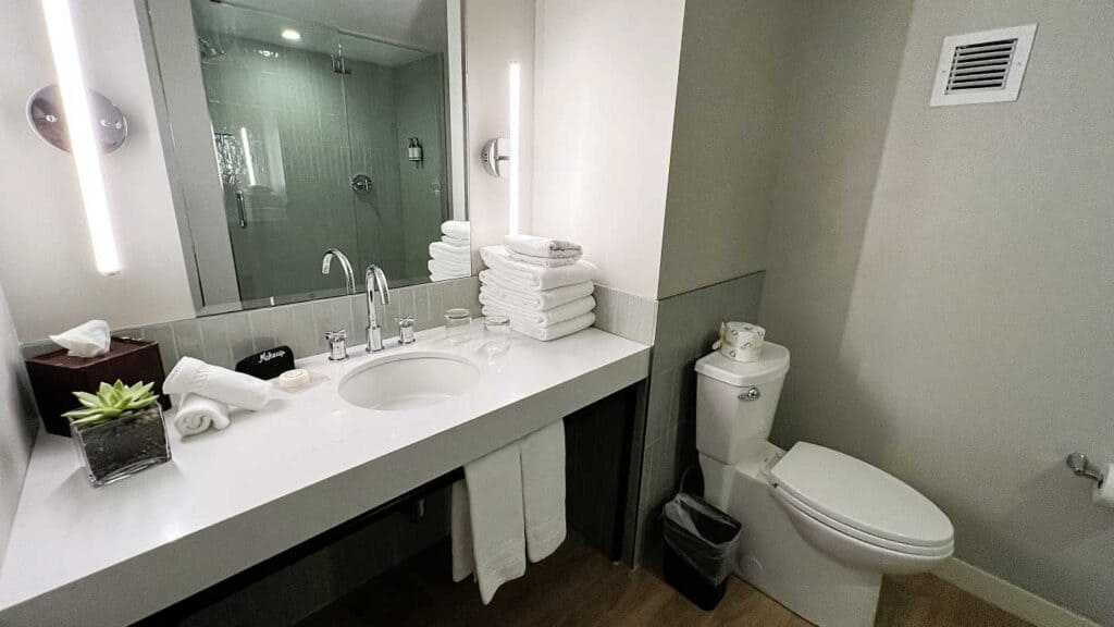 Delamar Bathroom