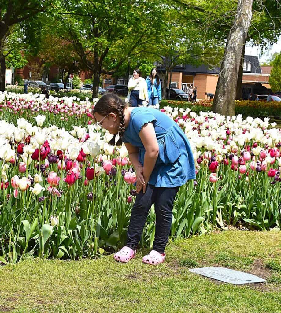 Lyric among the Tulips