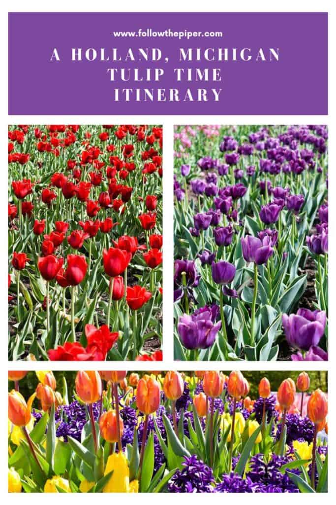 Pinterest graphic for Holland, Michigan's Tulip Time Festival