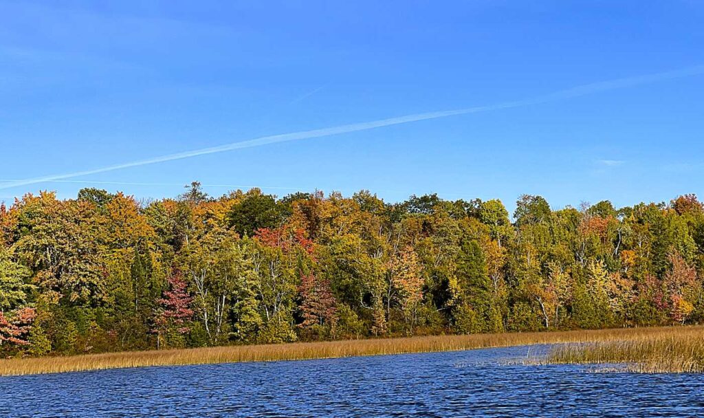 Fall Color in Indian River Photo Credit: Amy Piper/Follow the Piper