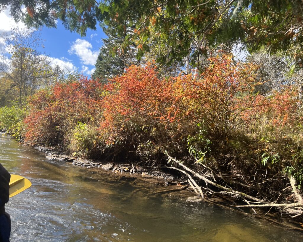 Rafting on the River during Fall Color Photo Credit: Amy Piper/Follow the Piper